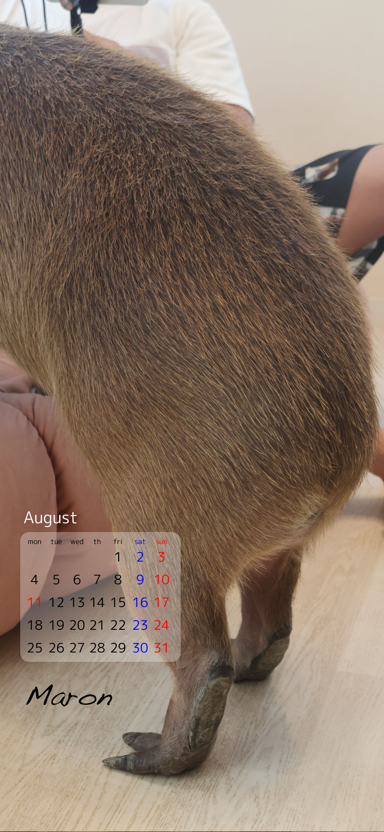 202508